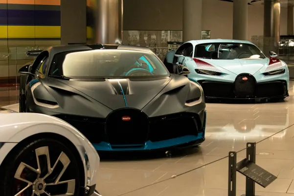 جنغلي وين كازينو تطبيق أندرويد/آي أو إس